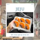 중앙로42번길 | 제주 서귀포 올레시장 먹거리 다정이네김밥 할머니떡집 감귤모찌 유동커피 후기