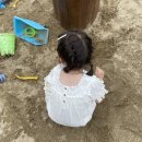 동미농장 | 제주체험목장 아침미소목장 비오는 날 아이와 함께 방문했어요