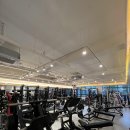 머슬프로짐 이미지