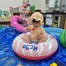 은하어린이집 놀이터 이미지