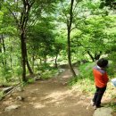 불심약수터 이미지