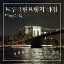 덤보 | 뉴욕 여행 | 브루클린 브릿지 야경 투어 솔직 후기 (덤보·타임스퀘어 코스)