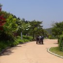 안면도자연휴양림 이미지