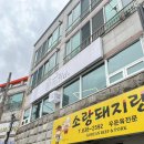 뼈대일주장평점 | [거제] 거제 아동문화체험카드 사용 가능한 그리다에서 댕댕 컬러링 체험
