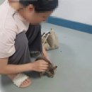 에이플러스무역 네이버블로그