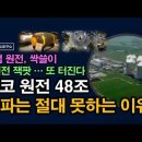 K원전 1650조 시장 초대형 잭팟 터진다, 유럽 원전 싹쓸이 전망, 좌파는 절대 못하는 이유 시대정신연구소﻿ 이미지