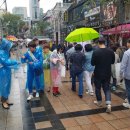 금산인삼국제시장 이미지