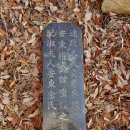 석담농장 Daum카페