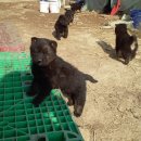 이하영농장 이미지