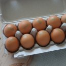 소원농장 이미지