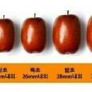 넘은골 이미지