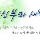 2019년 6월 18일 연중 제11주간 화요일 이미지