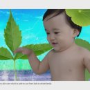 리숨아트