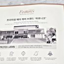 프로텍스주 이미지