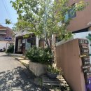 완벽한날들 이미지