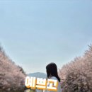 시민의숲산책로1-11 이미지