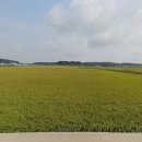 강화반석공인중개사사무소 이미지