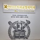 아너스치과교정과치과의원 | 안산 치아교정 아너스치과교정과치과