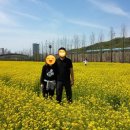 농림축산검역본부(식물검역기술개발센터) 이미지