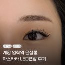 윤살롱 - 평택시 | 계양구속눈썹 추천 윤살롱 ㅣ 마스카라 LED연장 받고 온 후기