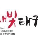 용인대새빛태권도 네이버블로그