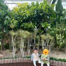 포충로 | 광주 아기랑 나들이 추천 | 빛고을농촌테마공원 9개월 아기 방문 후기 (돗자리 피크닉 가능)