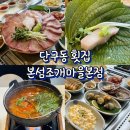 회 조개마을 | [원주] 단구동 횟집 추천 본섬조개마을 방어 후기