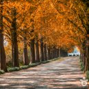 24호선 국도변 이미지