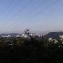 신평역 Daum카페