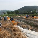 완주군 상하수도사업소 이미지