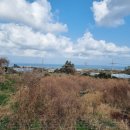 수산리-5 이미지