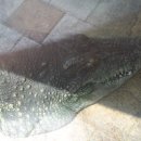 만식농장 이미지