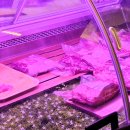 대곡형제식육식당 이미지