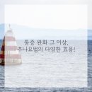 수영본한의원 네이버블로그