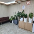 천안바른마취통증의학과의원 이미지