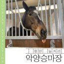 악양승마장 이미지