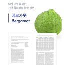 일라이 | 여성 영양제 추천 일라이코리아 베르가록신 후기, 30대 이후 달라진 몸 관리 시작