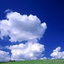 밝은마음 이미지