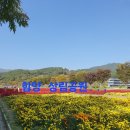 일지매투어 | 삼천포 사천 관광 여행사 일지매투어 전국일주여행다녀온후기