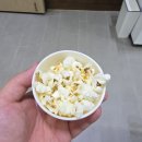 동그리펫 | 하림 펫 푸드 견학 해피댄스스튜디오 개슐랭 내돈내산 방문 후기❤️