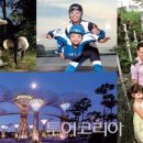 엄마아빠