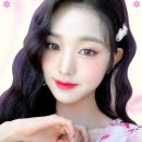 드림라이크 이미지