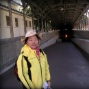 고성터널 이미지