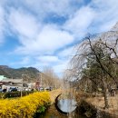 창녕 영산 만년교 이미지