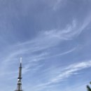 티오피(TOP)사람들