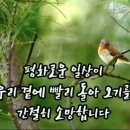 평화 이미지