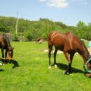 속사초등학교 이미지