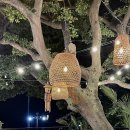 바바라 발리 이미지