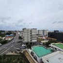 제주도성산공인중개사사무소 이미지