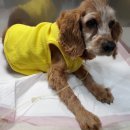 해와달동물병원 이미지